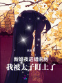 新婚夜進(jìn)錯洞房，我被太子盯上了