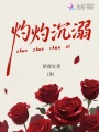 灼灼沉溺