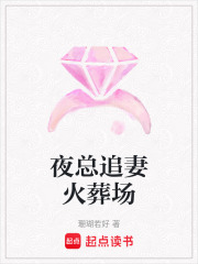 夜總追妻火葬場