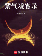 紫氣凌霄錄第二部