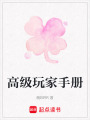 高級玩家手冊