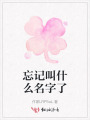 忘記叫什么名字了