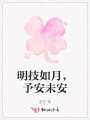 明技如月，予安未安