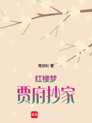 紅樓夢：賈府抄家