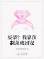 廢柴？我靠預(yù)制菜成團寵