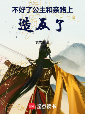 不好了，公主和親路上造反了