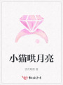 小貓哄月亮