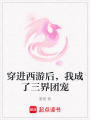 穿进西游后，我成了三界团宠