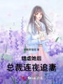 錯虐她后，總裁連夜追妻