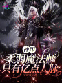 神印：柔弱魔法師，只有億點人脈