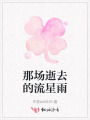 那場(chǎng)逝去的流星雨