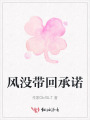 風(fēng)沒(méi)帶回承諾