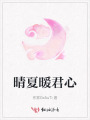 晴夏暖君心