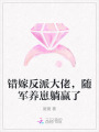 錯嫁反派大佬，隨軍養(yǎng)崽躺贏了