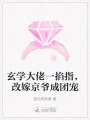 玄學大佬一掐指，改嫁京爺成團寵