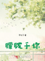 朦朧于你