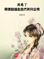 別卷了！帶項(xiàng)目組去古代開分公司