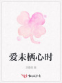 愛未棲心時