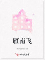 雁南飛