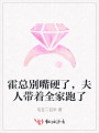 霍總別嘴硬了，夫人帶著全家跑了