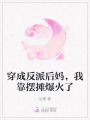 穿成反派后媽，我靠擺攤爆火了