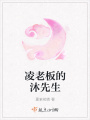 凌老板的沐先生
