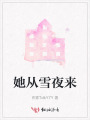 她從雪夜來
