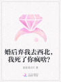 婚后棄我去西北，我死了你瘋啥？