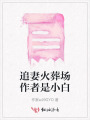 追妻火葬場(chǎng)作者是小白