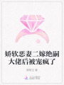 嬌軟惡妻二嫁絕嗣大佬后被寵瘋了