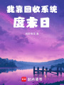 我靠回收系统度末日