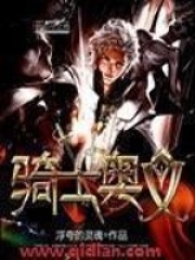 騎士奧義