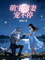 萌宝甜妻宠不停