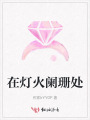 在灯火阑珊处