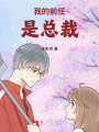 我的前任是总裁