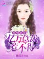 司先生追妻太瘋狂