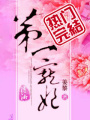 第一寵妃