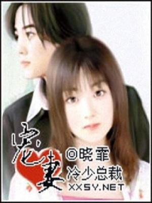 冷少總裁寵妻