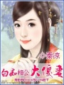 白癡相公大傻妻