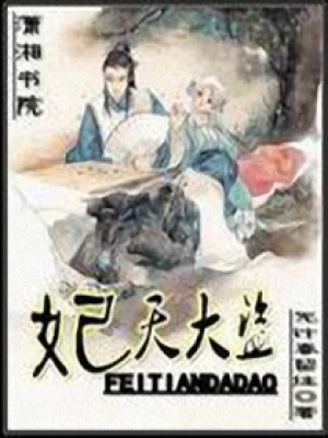 妃天大盜