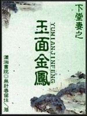 下堂妻之玉面金鳳