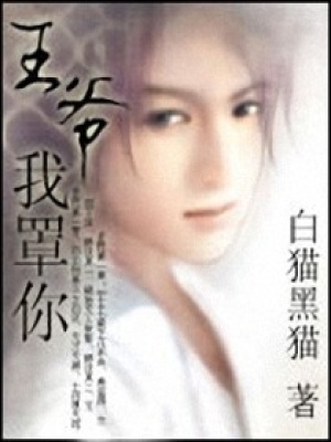 天才王爺的廢材妻