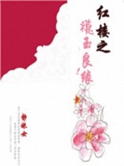 紅樓之禛玉良緣