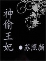 神偷王妃