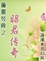 顛覆經(jīng)典之昭君傳奇