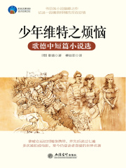 少年維特之煩惱