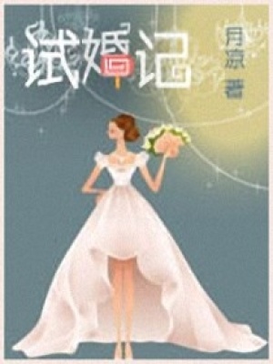 試婚記