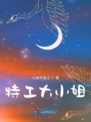 特工大小姐