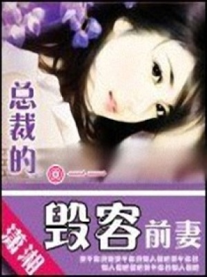 總裁的毀容前妻