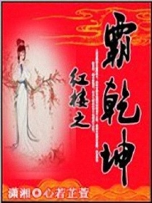 紅樓之霸乾坤